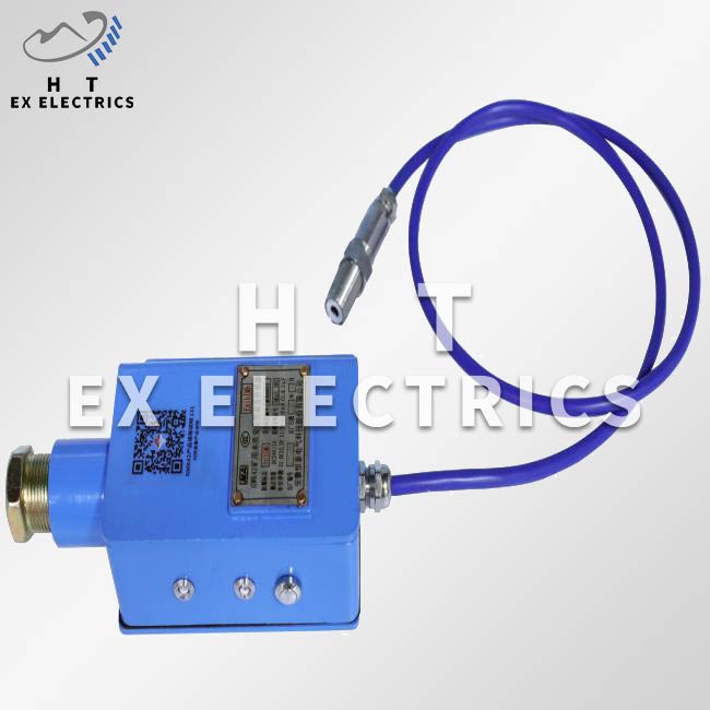 Sensor de temperatura intrínsecament segur